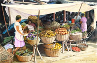 Dia De Mercado - Market Day